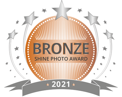 SHINE-Award-BRONZE_2021